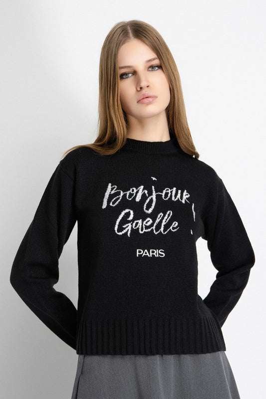 MAGLIERIA GAELLE  PARIS AI26 -   Pullover In Maglia Rasata Con Ricamo Sul Davanti - GAABW07266